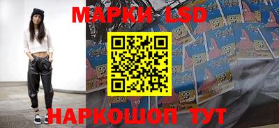 гидропоника Сланцы