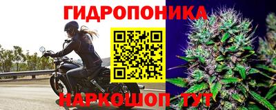 гидропоника Сланцы