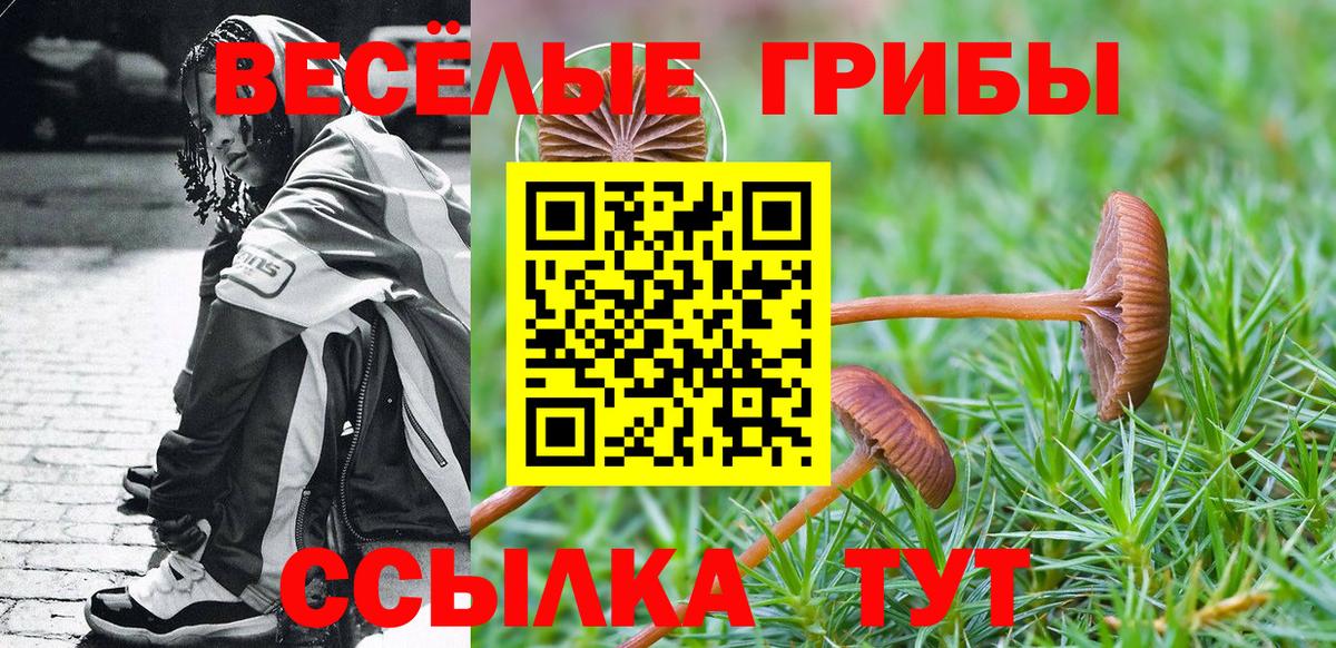 Галлюциногенные грибы GOLDEN TEACHER  Вход с VPN  Барнаул  Галлюциногенные грибы мухоморы 